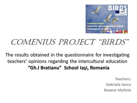 “Gh.I Bratianu” School Iaşi, Romania comenius project “birds” The results obtained in the questionnaire for investigating teachers’ opinions regarding.
