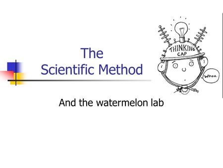 The Scientific Method And the watermelon lab.