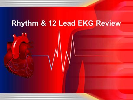 Rhythm & 12 Lead EKG Review