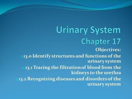 Objectives: 1. 13.0 Identify structures and functions of the urinary system 2. 13.1 Tracing the filtration of blood from the kidneys to the urethra 3.