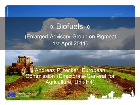 « Biofuels » (Enlarged Advisory Group on Pigmeat, 1st April 2011) Andreas Pilzecker, European Commission (Directorate-General for Agriculture, Unit H4)