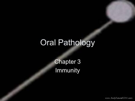 Oral Pathology Chapter 3 Immunity. Objectives 1. Define each of the words in the vocabulary list (please learn on your own) 2. Describe the primary difference.