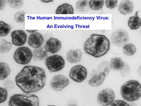 The Human Immunodeficiency Virus: An Evolving Threat.