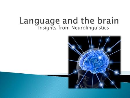 Insights from Neurolinguistics