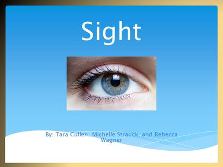 Sight By: Tara Cullen, Michelle Strauck, and Rebecca Wagner.