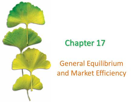 General Equilibrium and Market Efficiency