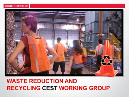 WASTE REDUCTION AND RECYCLING CEST WORKING GROUP.