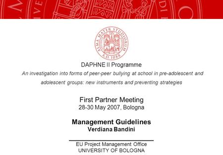 DAPHNE II Programme An investigation into forms of peer-peer bullying at school in pre-adolescent and adolescent groups: new instruments and preventing.
