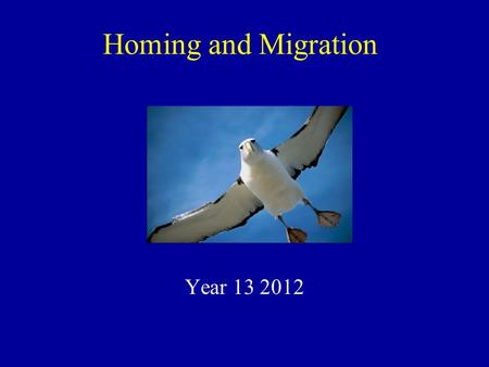 Homing and Migration Year 13 2012.