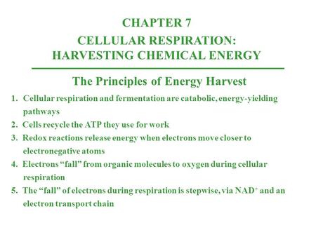 The Principles of Energy Harvest 1.Cellular respiration and fermentation are catabolic, energy-yielding pathways 2. Cells recycle the ATP they use for.