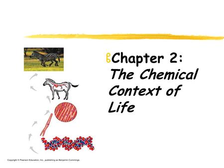ZChapter 2: The Chemical Context of Life. Chemical Context of Life zMatter (space & mass) zElement zCompound zThe atom zAtomic number (# of protons);