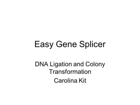 DNA Ligation and Colony Transformation Carolina Kit