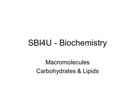 Macromolecules Carbohydrates & Lipids
