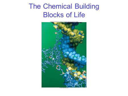 The Chemical Building Blocks of Life. 2 Carbon Framework of biological molecules consists primarily of carbon bonded to –Carbon –O, N, S, P or H Can form.
