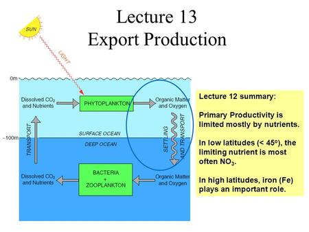 Lecture 13 Export Production Lecture 12 summary: Primary Productivity is limited mostly by nutrients. In low latitudes (< 45 o ), the limiting nutrient.