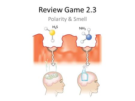 Review Game 2.3 Polarity & Smell. rocket : space :: submarine : 1.sea 2.land 3.air 4.cave Countdown 10 Response Grid.