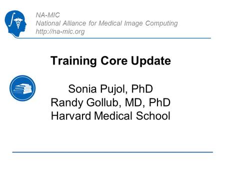 NA-MIC National Alliance for Medical Image Computing  Training Core Update Sonia Pujol, PhD Randy Gollub, MD, PhD Harvard Medical School.