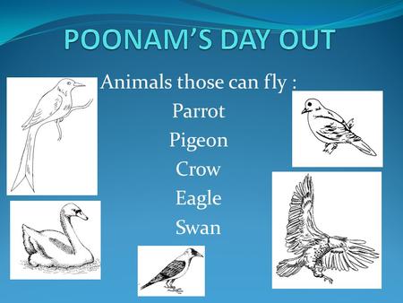 Animals those can fly : Parrot Pigeon Crow Eagle Swan