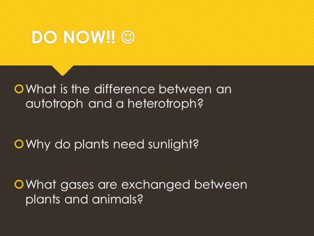 DO NOW!!  What is the difference between an autotroph and a heterotroph? Why do plants need sunlight? What gases are exchanged between plants and animals?