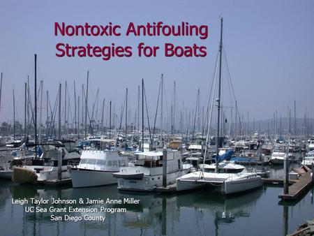 Nontoxic Antifouling Strategies for Boats