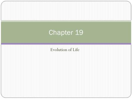 Evolution of Life Chapter 19. The Paleozoic Era (570 to 240 million years ago) Global conditions were seasonal with changes in winds, ocean currents,
