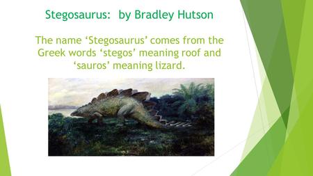 Stegosaurus: by Bradley Hutson The name ‘Stegosaurus’ comes from the Greek words ‘stegos’ meaning roof and ‘sauros’ meaning lizard.