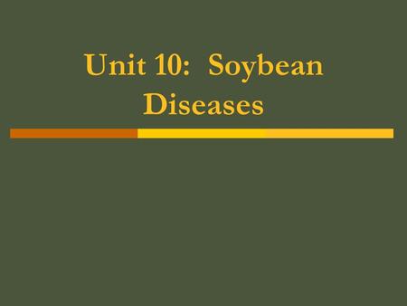 Unit 10: Soybean Diseases.  Bacterial Blight Occurs on leaves of the SB  Small angular spots  Appear yellow at first  Later turn brown to black 