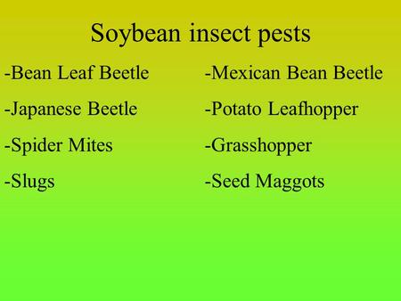 Soybean insect pests -Bean Leaf Beetle-Mexican Bean Beetle -Japanese Beetle-Potato Leafhopper -Spider Mites-Grasshopper -Slugs-Seed Maggots.