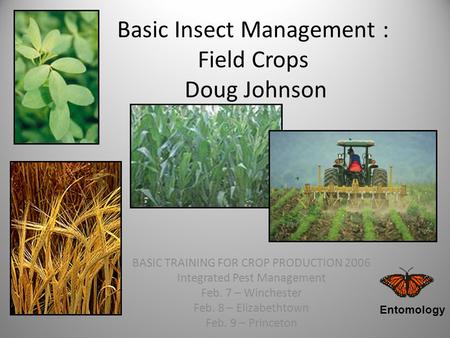 Basic Insect Management : Field Crops Doug Johnson BASIC TRAINING FOR CROP PRODUCTION 2006 Integrated Pest Management Feb. 7 – Winchester Feb. 8 – Elizabethtown.
