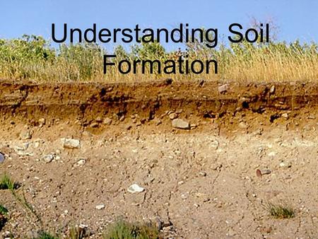 Understanding Soil Formation. Objectives Identify five factors involved in soil formation. Describe different types of parent material. Explain topography.