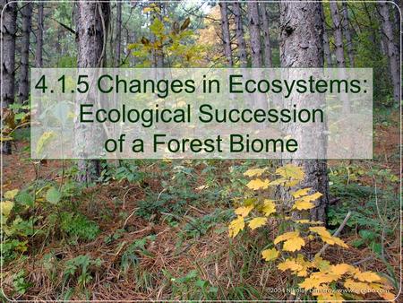 4.1.5 Changes in Ecosystems: Ecological Succession of a Forest Biome.