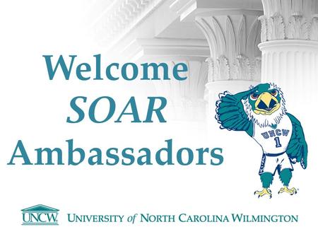 Welcome SOAR Ambassadors. Contact Information Megan Wojciak Scholarship Counselor & SOAR Program Coordinator Office of Scholarships & Financial Aid in.
