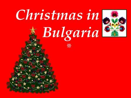 Christmas in Bulgaria.