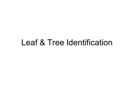 Leaf & Tree Identification. Deciduous Leaf Identification SimpleCompound.