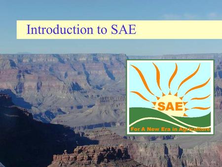 Introduction to SAE. What is SAE? Supervised Agricultural Experience (SAE) Programs consist of planned practical activities, entrepreneurial skills, or.