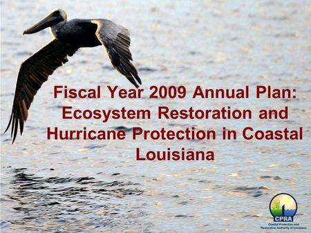 Fiscal Year 2009 Annual Plan: Ecosystem Restoration and Hurricane Protection in Coastal Louisiana.