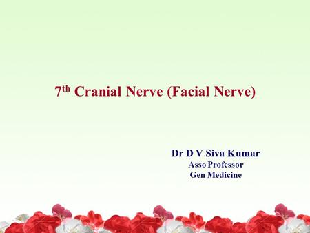 7th Cranial Nerve (Facial Nerve)