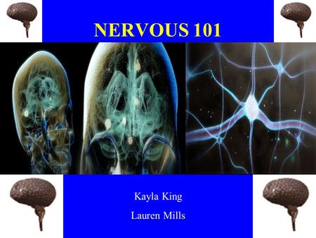 NERVOUS 101 Kayla King Lauren Mills. Importance Sends messages throughout the body. –5 senses.