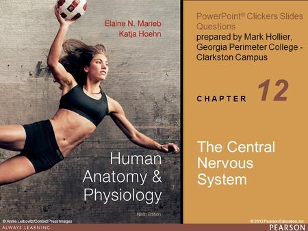12 The Central Nervous System.
