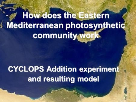 How does the Eastern Mediterranean photosynthetic community work CYCLOPS Addition experiment and resulting model.
