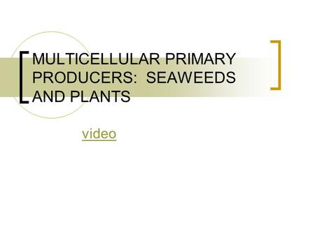 MULTICELLULAR PRIMARY PRODUCERS: SEAWEEDS AND PLANTS video.