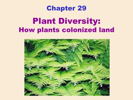 Chapter 29 Plant Diversity: How plants colonized land.