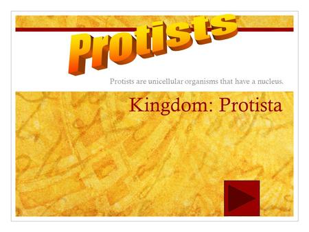 Kingdom: Protista Protists are unicellular organisms that have a nucleus.