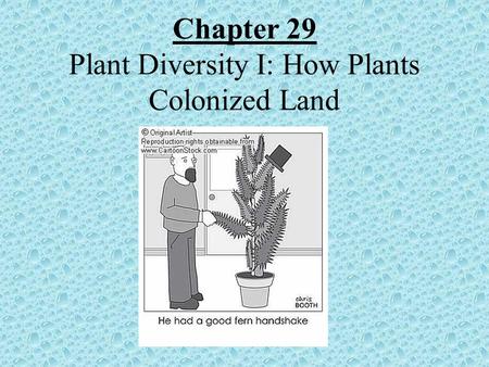 Chapter 29 Plant Diversity I: How Plants Colonized Land