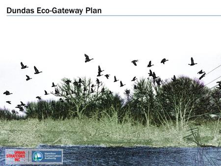 Dundas Eco-Gateway Plan. Site in context Surrounding Habitat Cootes Paradise.