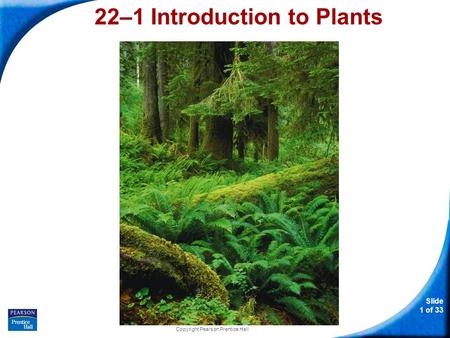 22–1 Introduction to Plants