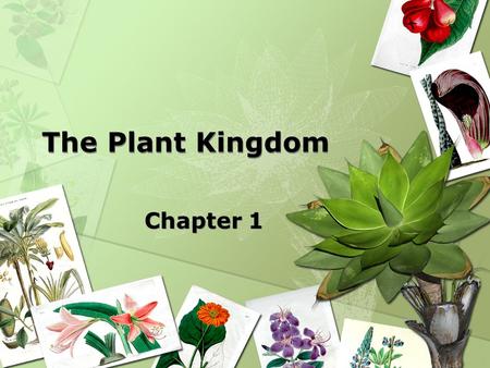 The Plant Kingdom Chapter 1.