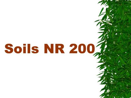Soils NR 200.