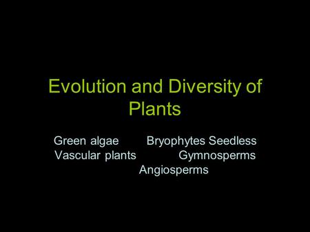 Evolution and Diversity of Plants Green algaeBryophytesSeedless Vascular plantsGymnosperms Angiosperms.
