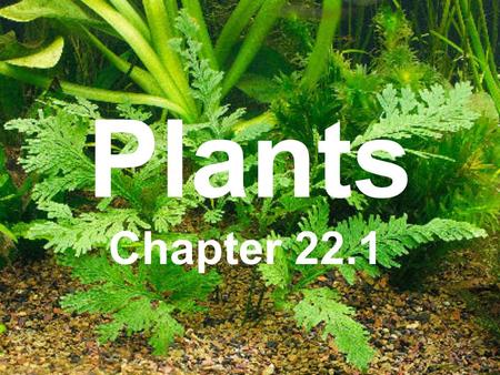 Plants Chapter 22.1.